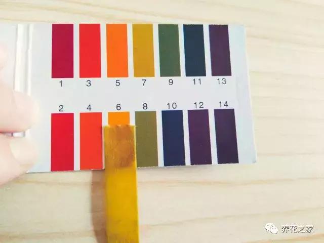 怎样知道花盆土壤酸碱度,怎样改变花盆的碱性