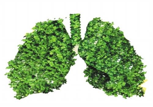 外科风云中修院长不计代价也要研究的慢阻肺，用什么药物治疗？