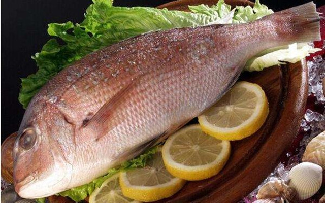 试管备孕前一个月食谱,试管备孕食谱