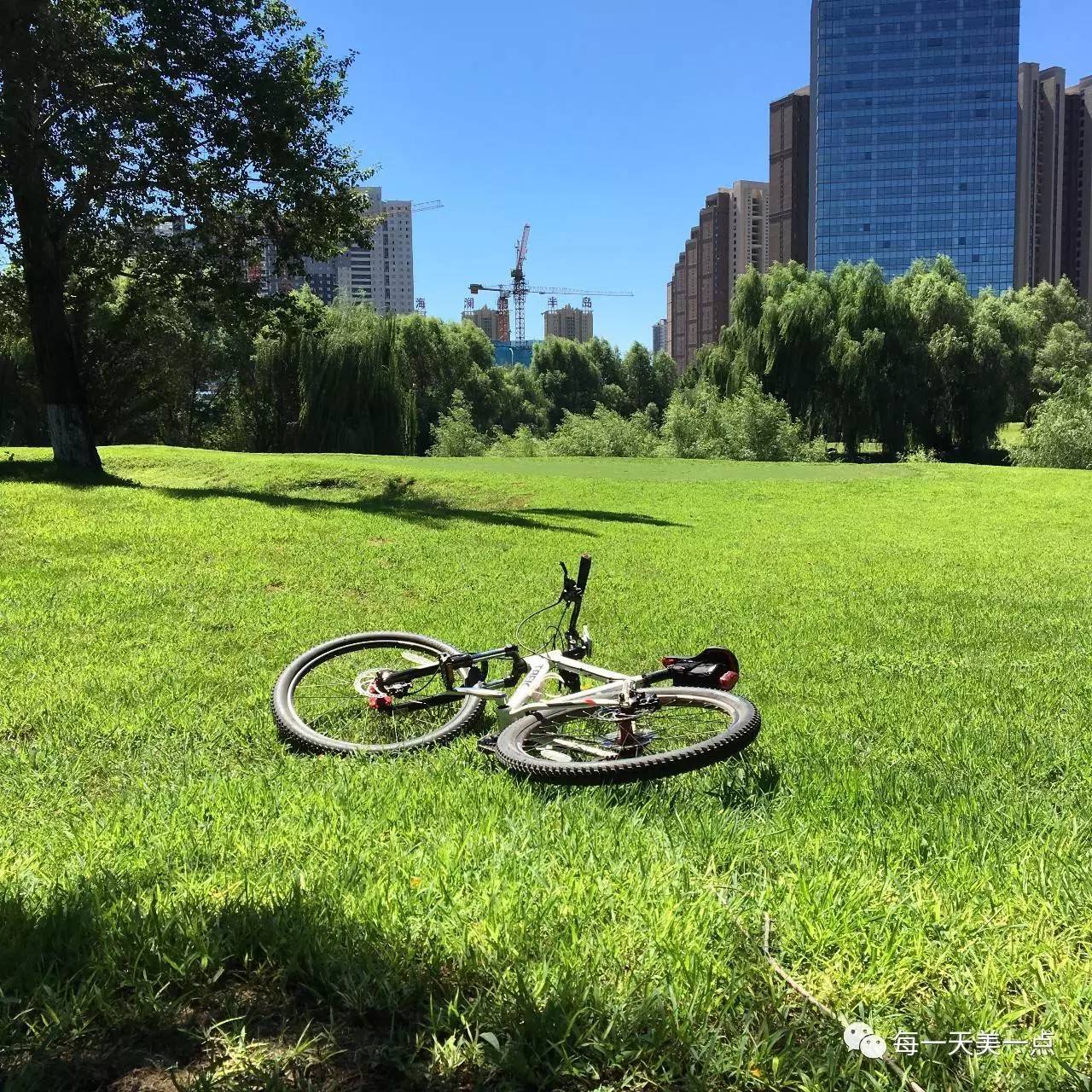 沈阳浑河边骑行夜景,浑河漫步道自行车