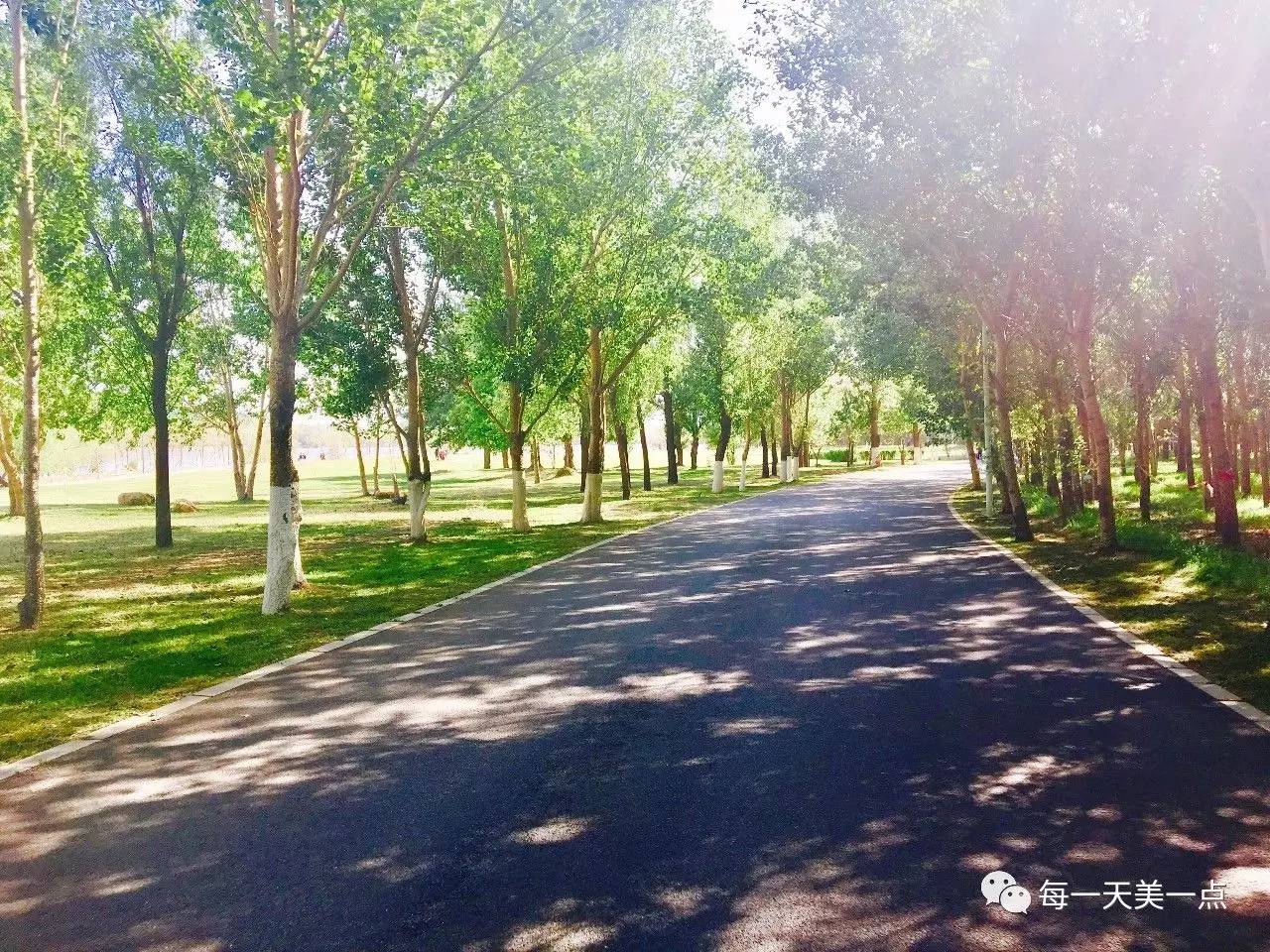 沈阳浑河边骑行夜景,浑河漫步道自行车