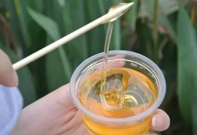 广州的一座荒废的商场,广州消失的城中城