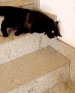 阿森纳切尔西第十四次捧杯,阿森纳逆转切尔西夺冠