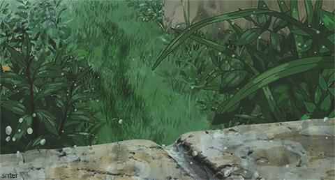 高价多肉老桩也能造假，1年当5年卖！