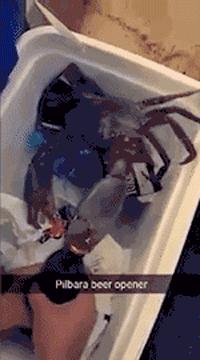 图文笑话：老爸，咱家里遭贼了，我这几天靠捡破烂生活的