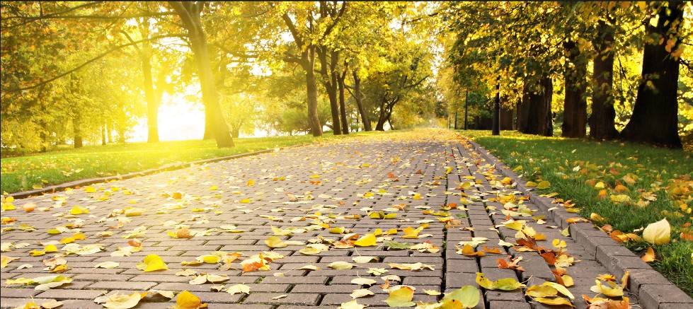 怒伤肝思伤脾忧伤肺恐伤肾原文,思伤脾怒伤肝喜伤心恐伤肾图