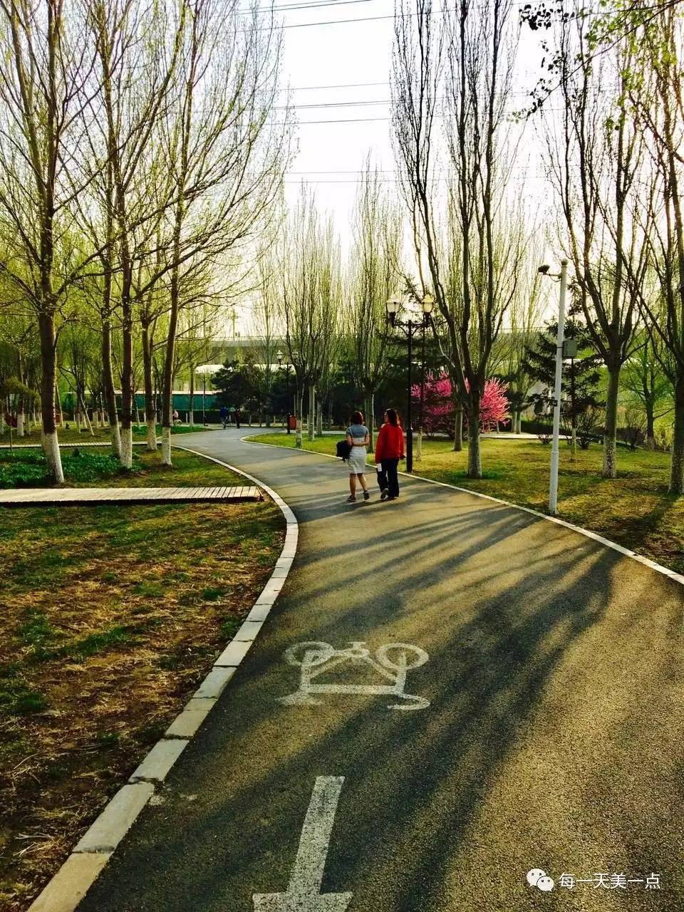 沈阳浑河边骑行夜景,浑河漫步道自行车