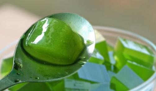 广西东兴美食视频,东兴旅游小吃推荐