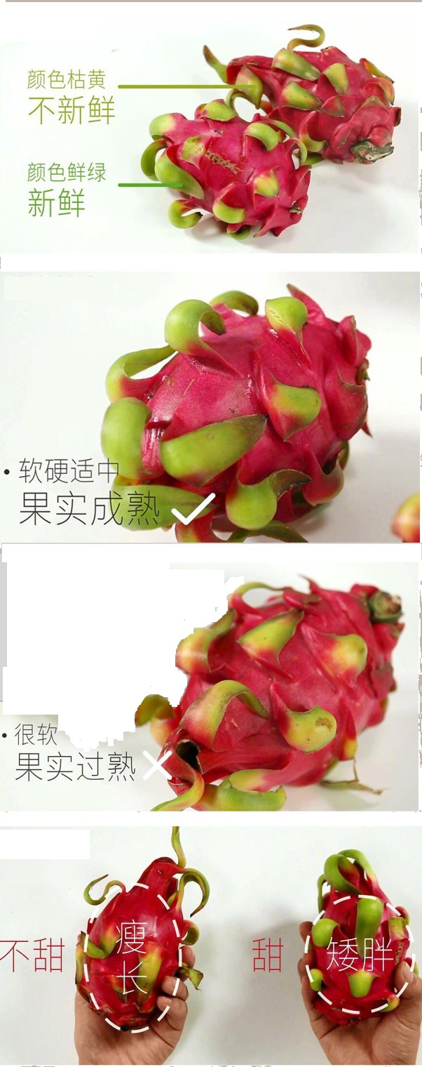 买到了不新鲜的水果怎么办,卖不掉的水果怎么处理