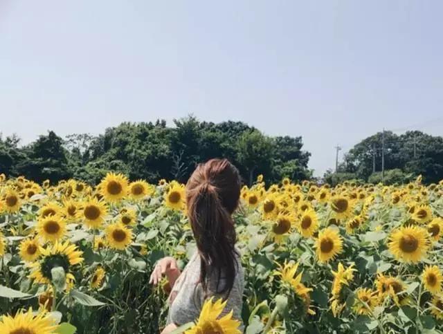 你最爱的人却爱上了别人,最爱你的人往往最后最爱的是自己