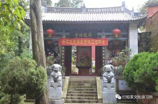 三大沱茶是哪些茶类的产地,沱茶基本知识