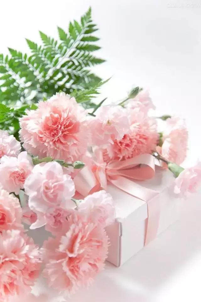 母亲节礼品店活动策划,母亲节特惠方案