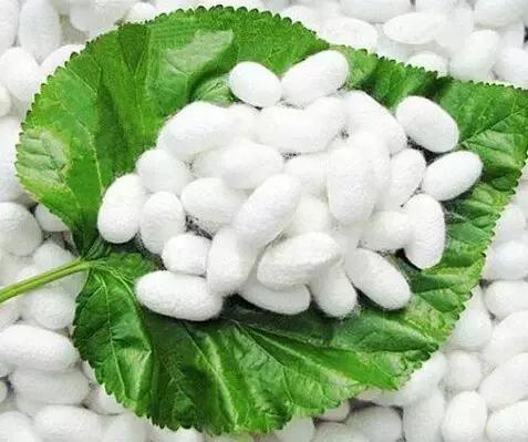 亚麻面料的洗涤与保养,各种面料的洗涤保养方法