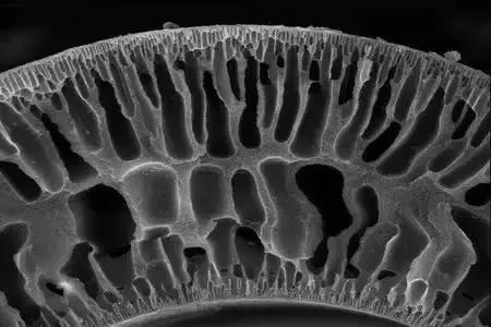 亚麻面料的洗涤与保养,各种面料的洗涤保养方法