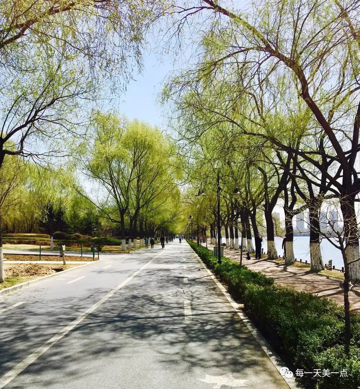 沈阳浑河边骑行夜景,浑河漫步道自行车