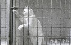 你知道我练习了多少次，才等来这精准一刻