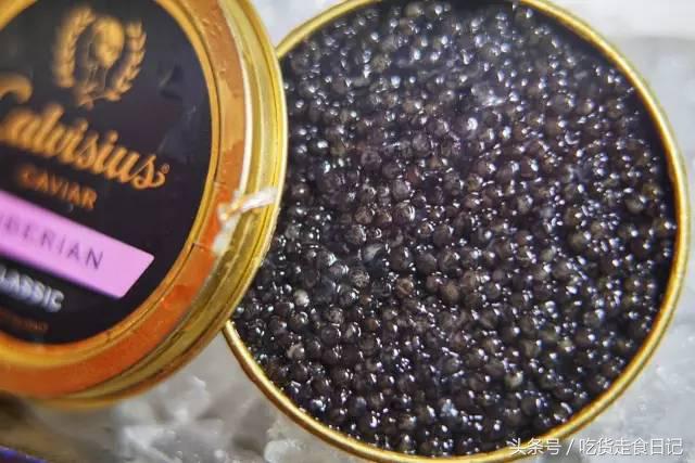 澳门酒店旅游指南,澳门住宿攻略自由行便宜酒店推荐