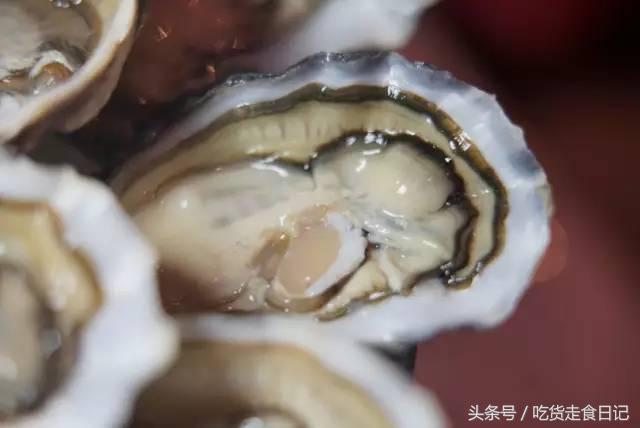 澳门酒店旅游指南,澳门住宿攻略自由行便宜酒店推荐