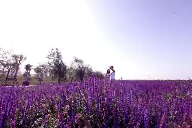 三星note7全球召回包含中国么,三星note7手机召回事件