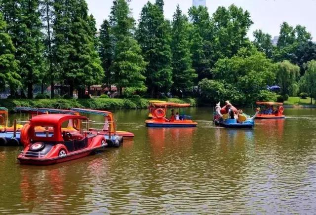 还坐什么地铁？坐上这趟最美公交，我宁愿堵成狗！