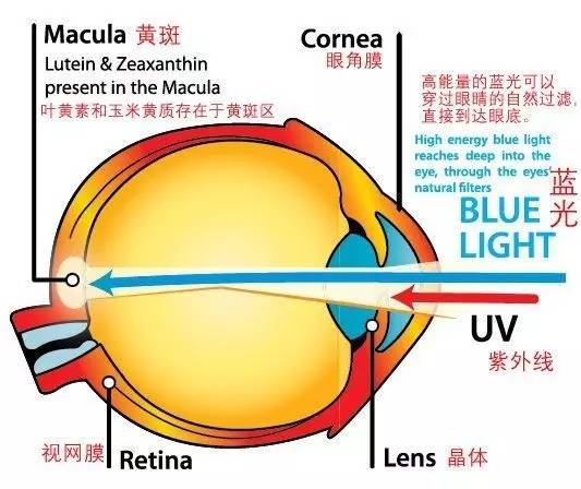 澳洲caruso品牌怎么样,澳洲childprotection