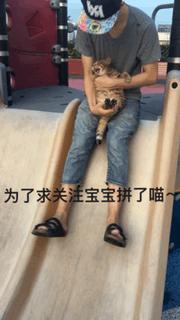 铲屎官在家门口捡到一只小猫,小猫被铲屎官的呼噜惊呆