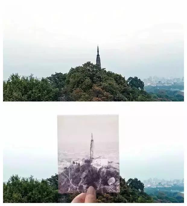 杭州为什么可以大规模拍地,杭州大规模拍地