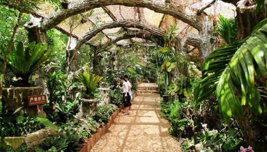 夏天去三亚是什么体验,夏天来三亚旅游攻略自由行