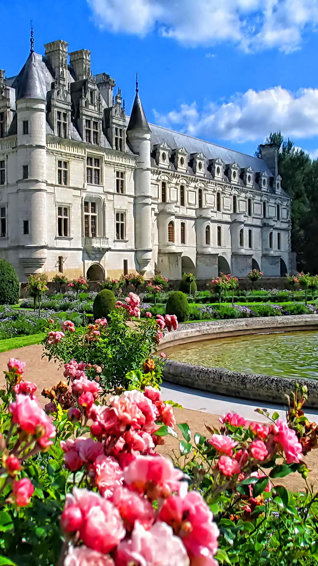 娉曞浗娴极鎵嬫満澹佺焊,鏈変竴绉嶆氮婕彨鑾鑺卞洯