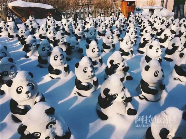 热气缭绕的温泉旅行,夏日温泉旅游推荐