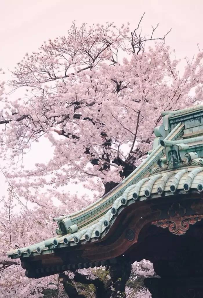 老祖宗留下来的7句狠话句句在理,老祖宗留下来的金句句句在理