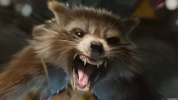 布莱德利库珀侧脸,布莱德利库珀演技如何