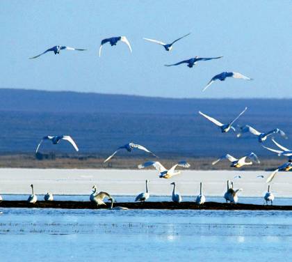内蒙摄影作品,一份简单内蒙古草原旅游攻略
