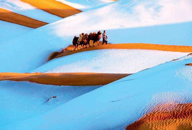 内蒙摄影作品,一份简单内蒙古草原旅游攻略