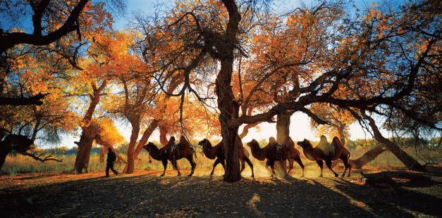 内蒙摄影作品,一份简单内蒙古草原旅游攻略