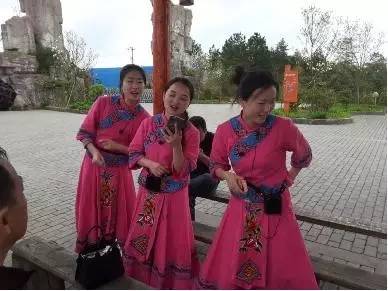 散文花开,散文花开花落