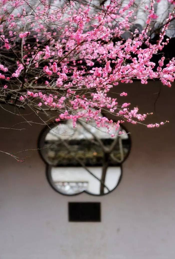 老祖宗留下来的7句狠话句句在理,老祖宗留下来的金句句句在理