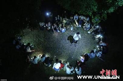 最新反腐高校,高校反腐最新进展