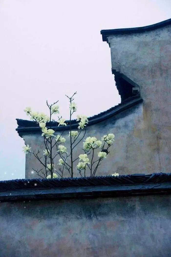 老祖宗留下来的7句狠话句句在理,老祖宗留下来的金句句句在理