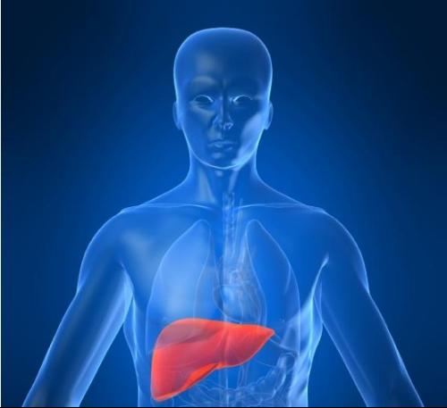 2020第十一届细胞治疗国际研讨会,第八届亚太医学与肿瘤论坛