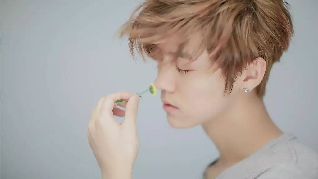 鹿晗森林里的小鹿,鹿晗杨树林