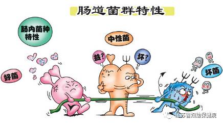 过敏宝宝如何正确选择益生菌,过敏宝宝选什么益生菌调理肠胃