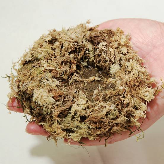 生活小技巧简单桌子做法,做一个懒人必备的桌子