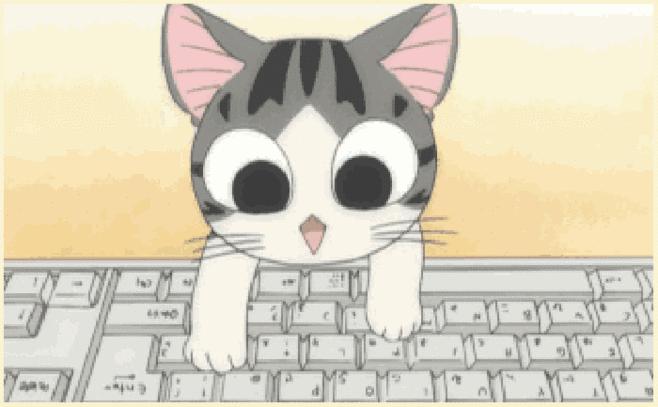 丽江三部曲亲子运动,千人亲子运动会