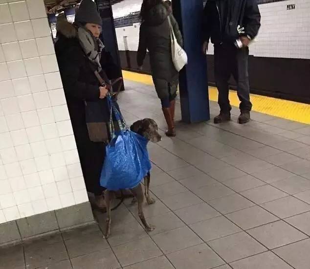 0.99PK2145美元！你最熟悉的宜家大蓝包出了巴黎世家同款