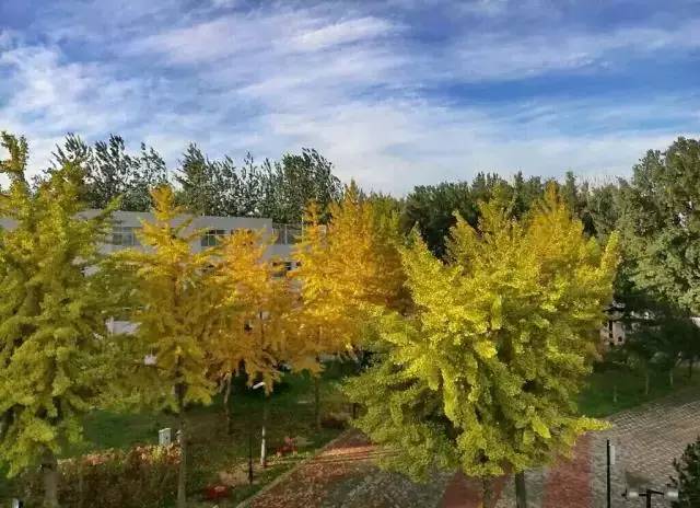 爱我亚太——25周年校庆系列活动之“爱”校