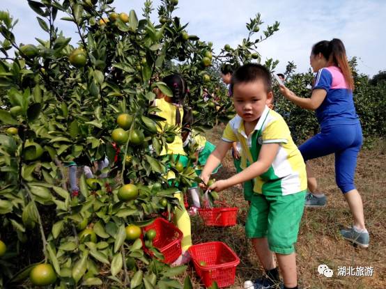 湖北咸宁有什么好去处 (咸宁休闲旅游地)