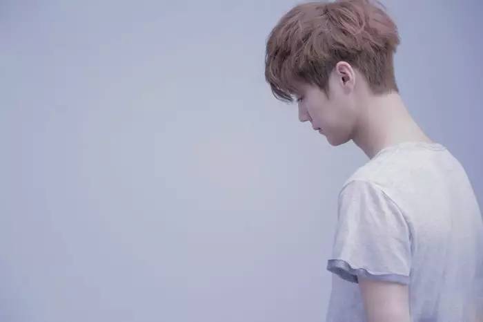 鹿晗森林里的小鹿,鹿晗杨树林