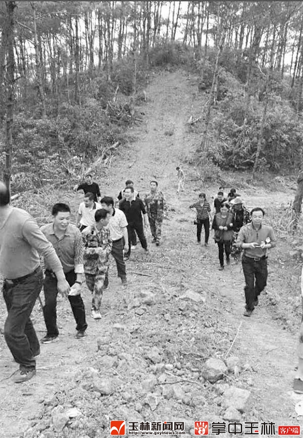 蒲塘镇北窑岭生态公园,玉林市蒲塘镇北寮岭生态公园