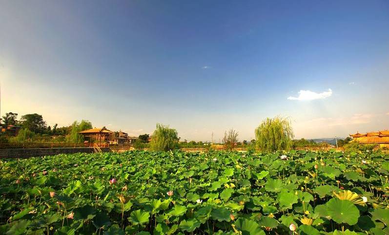 重庆比较高端的带会议室农家乐,重庆哪些好的农家乐可以玩